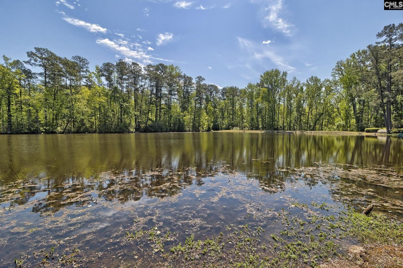 1 Gardenwood Court Photo 93