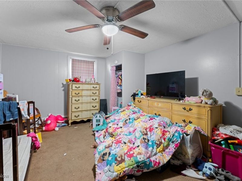 203 E Maple Street, Hartville, OH 44632 Photo 13