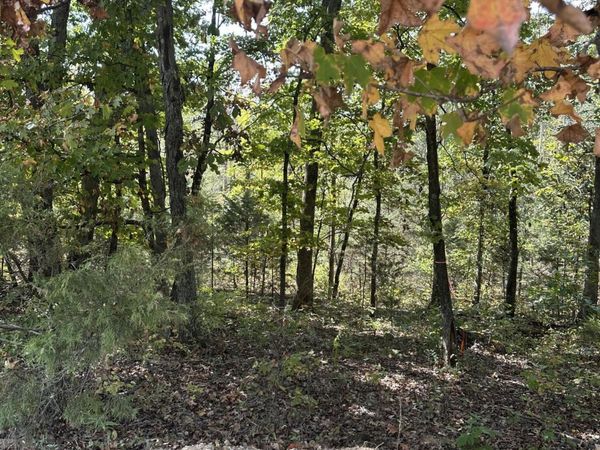 LOT 36 STERLING RIDGE, Holts Summit, MO 65043
