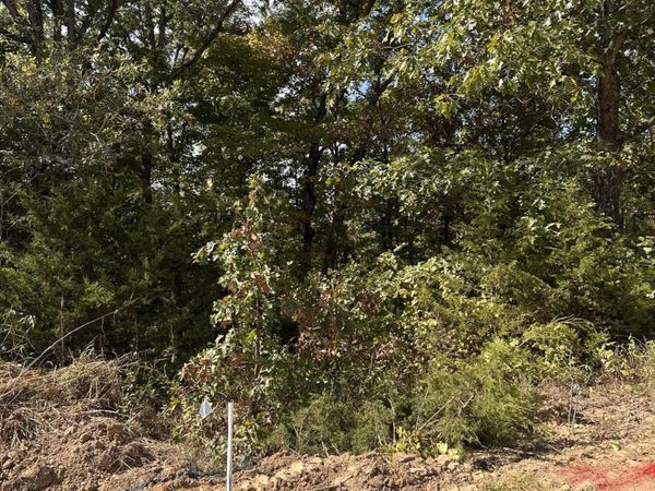 LOT 37 STERLING RIDGE, Holts Summit, MO 65043