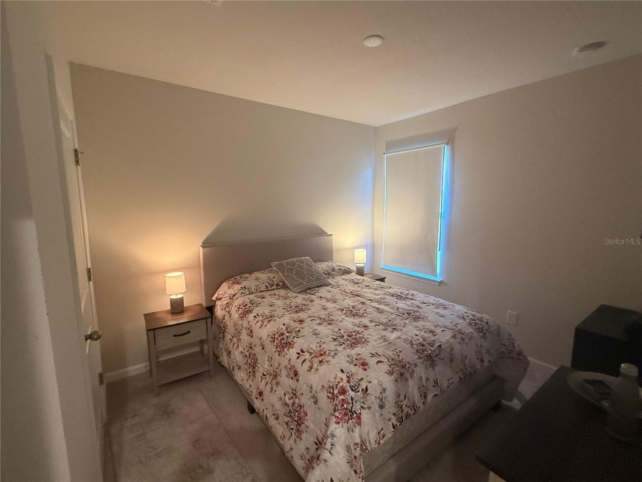 10516 Daybreak Glen, Parrish, FL 34219 Photo