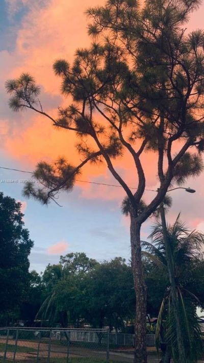 139 SW 21st Way, Fort Lauderdale, FL 33312 Photo