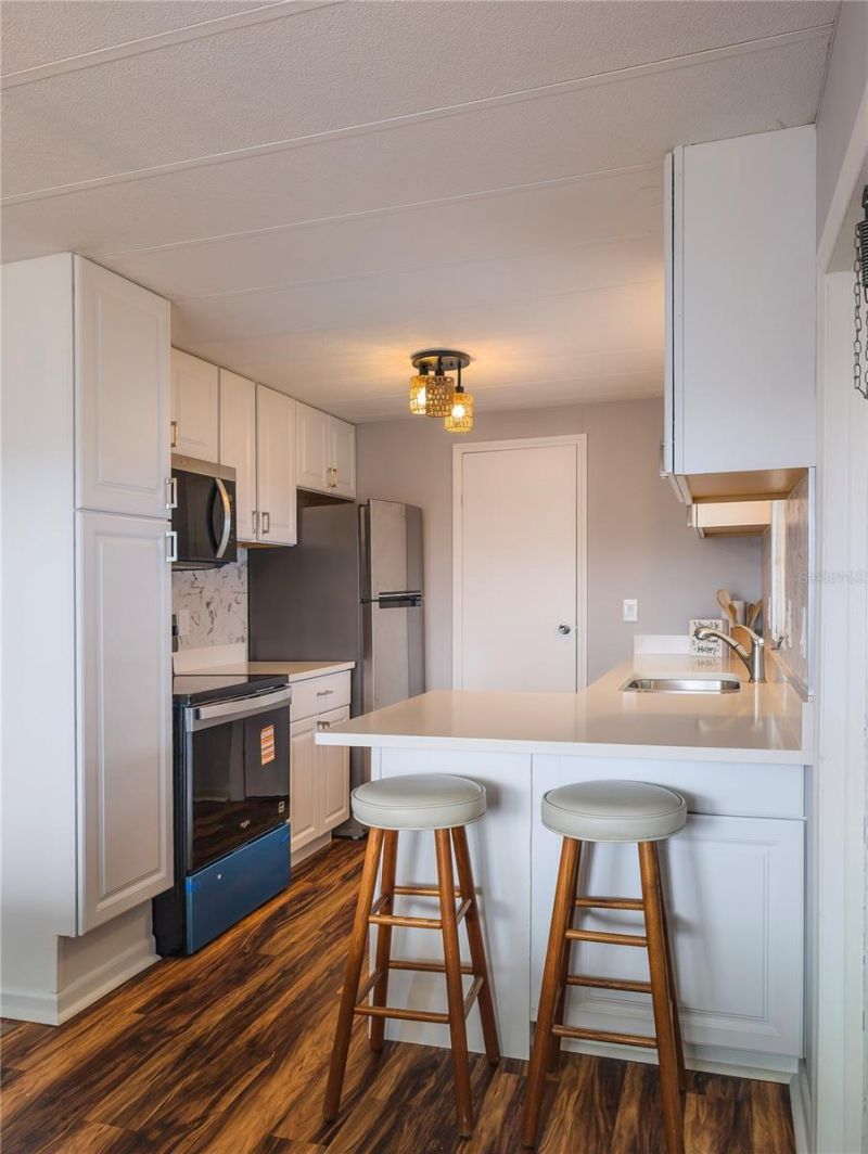 217 Seagull Drive, Tarpon Springs, FL 34689 Photo