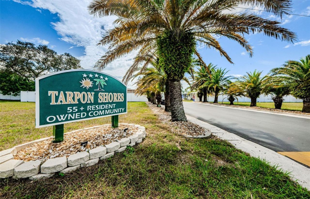 217 Seagull Drive, Tarpon Springs, FL 34689 Photo