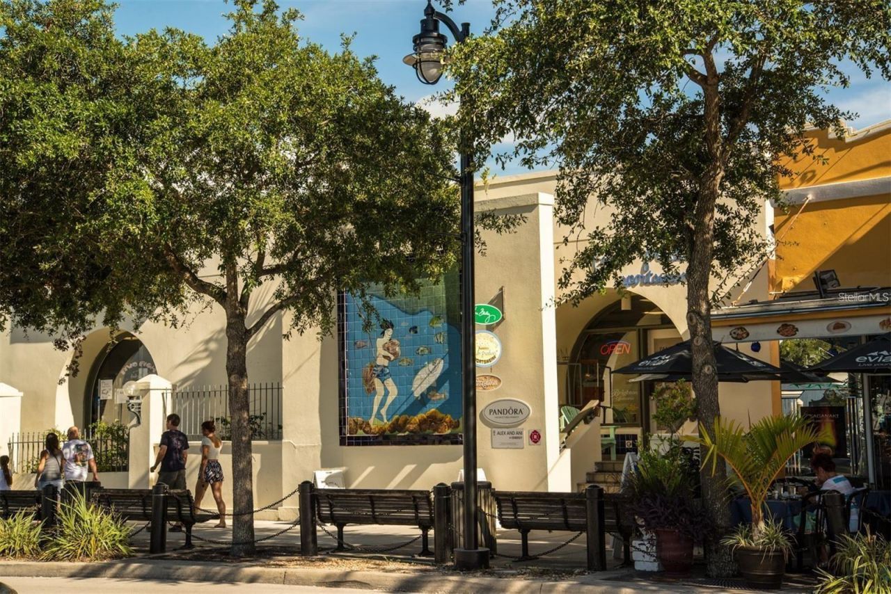 217 Seagull Drive, Tarpon Springs, FL 34689 Photo