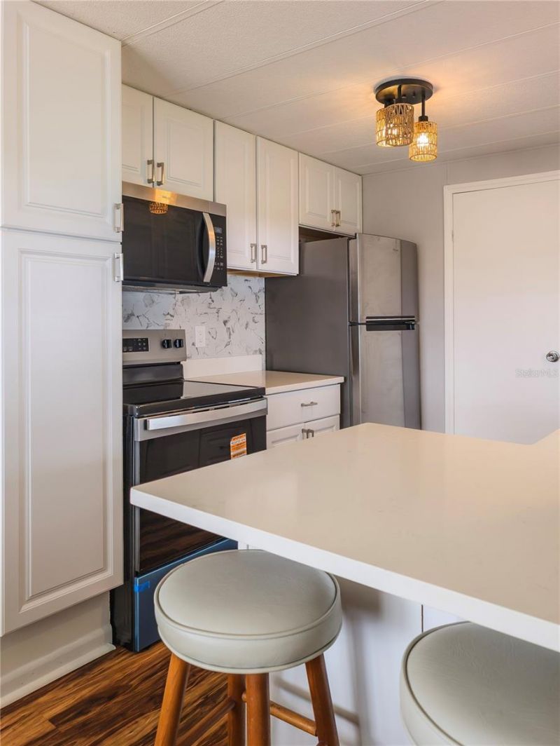 217 Seagull Drive, Tarpon Springs, FL 34689 Photo