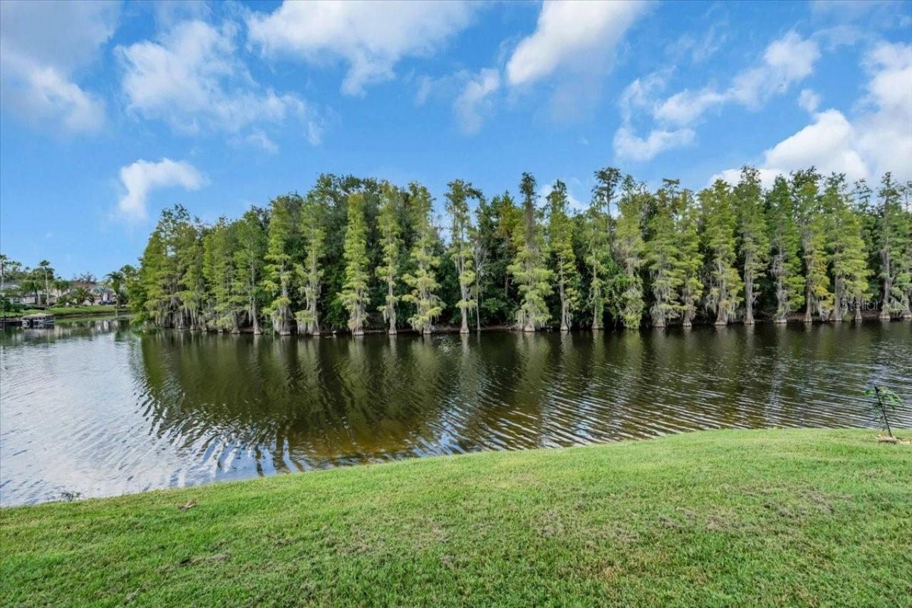 10561 Bermuda Isle Drive, Tampa, FL 33647 Photo