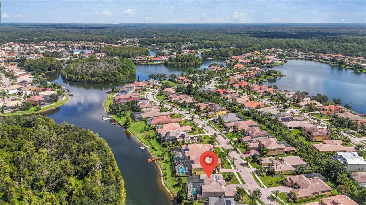 10561 Bermuda Isle Drive, Tampa, FL 33647 Photo