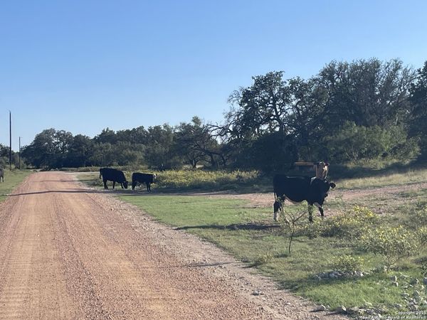 3200 Elm Springs Trl, Menard, TX 76859