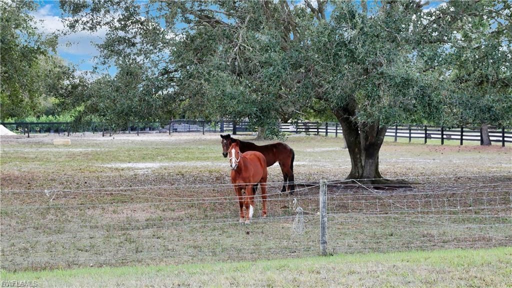 11751 Shawnee Rd, Fort Myers, FL 33913 Photo