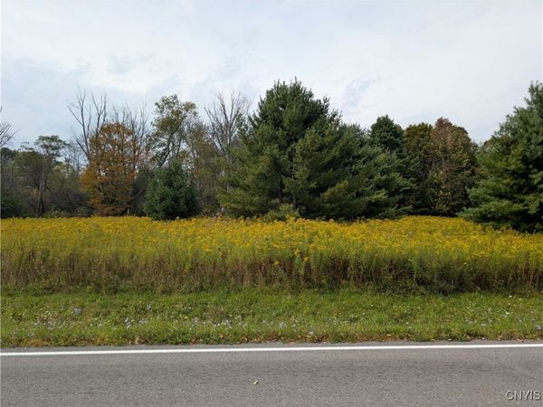 Gorton Road, Hamilton, NY 13346