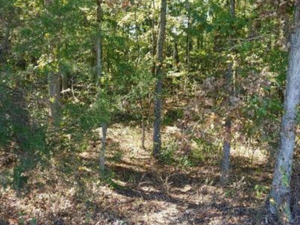 33-51C ZACHARY TAYLOR HIGHWAY, UNIONVILLE, VA 22567