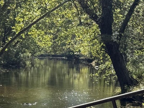 6402 Potts Creek RD, Covington, VA 24426