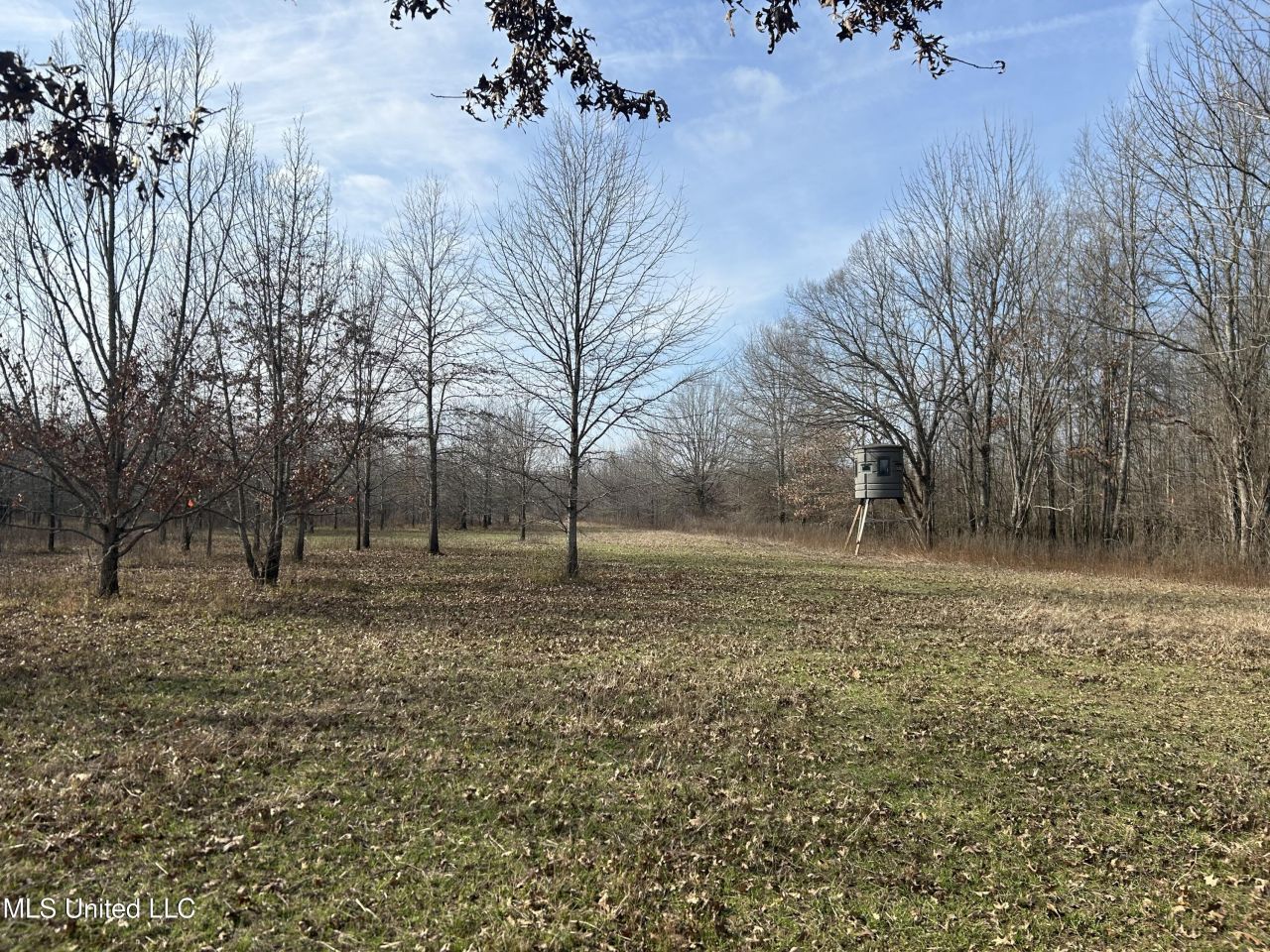 Hwy 278, Marks, MS 38646 Main Photo