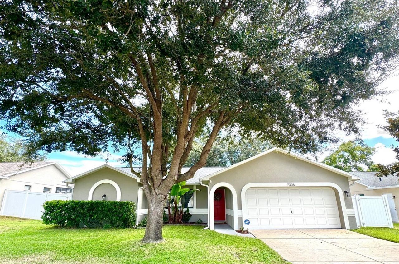 7306 Skyview Avenue, New Port Richey, FL 34653 Main Photo