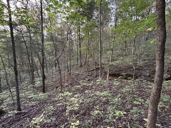 0 Lancaster hwy, Hickman, TN 38567