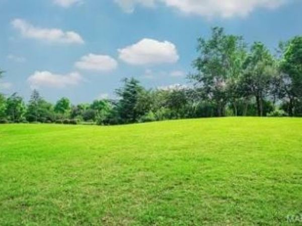 16716 Shamblin Road, Florissant, MO 63034