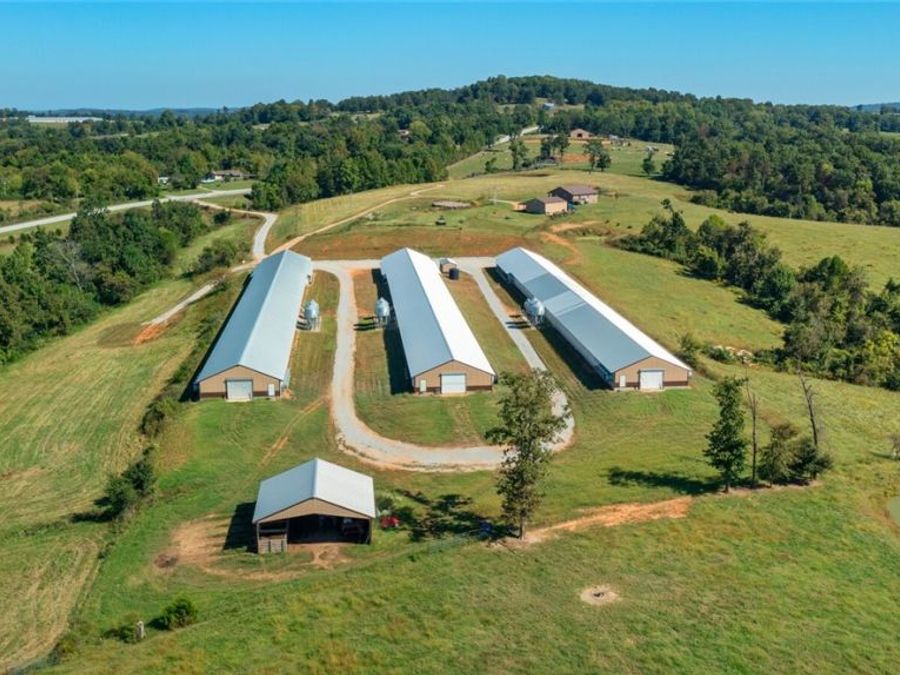 Property Image 19