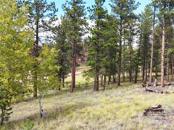 2265 Vagabond Creek Drive , Lake George, CO 80827