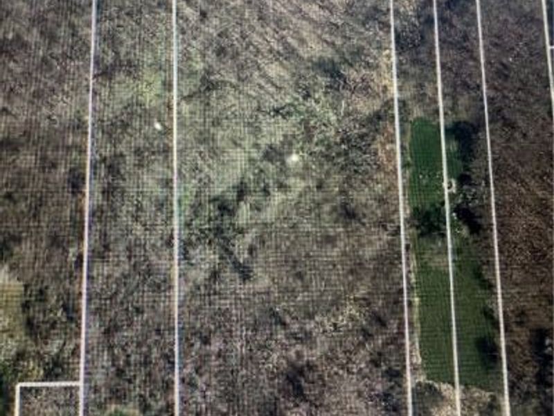 Shields Road, Canfield, OH 44406 Photo 2