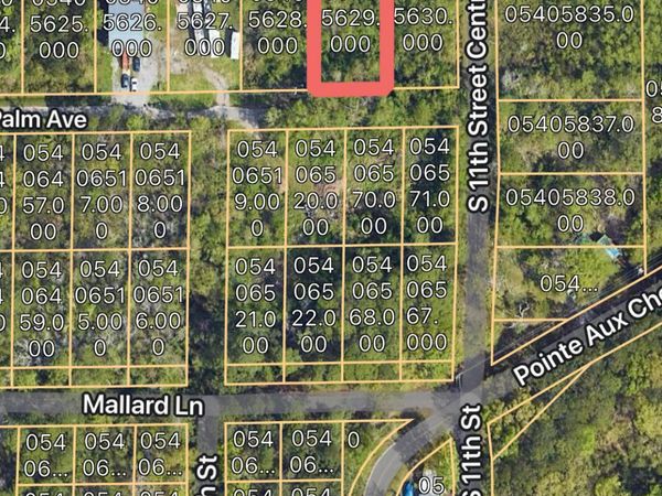 Palm Avenue, Ocean Springs, MS 39564