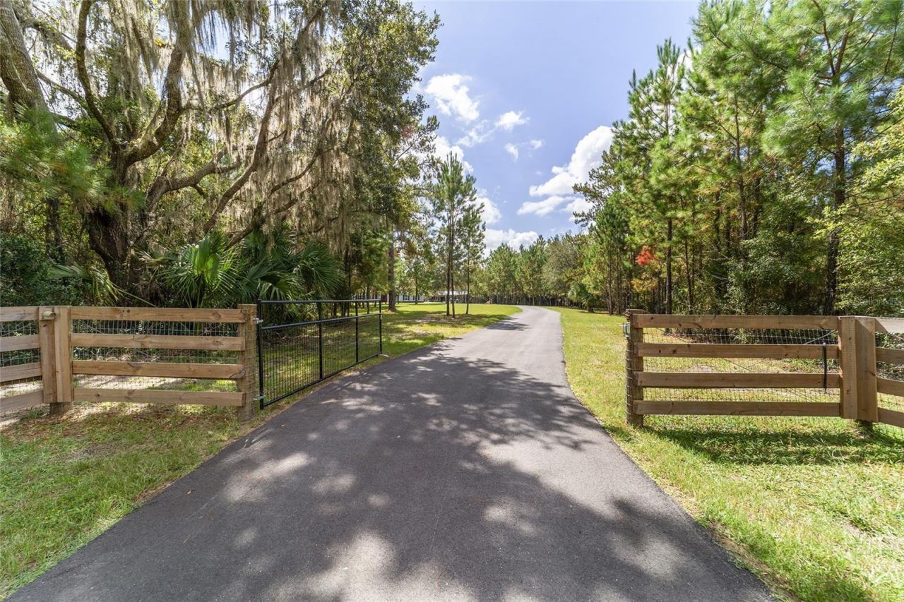 15600 NW 185th Street, Williston, FL 32696 Photo