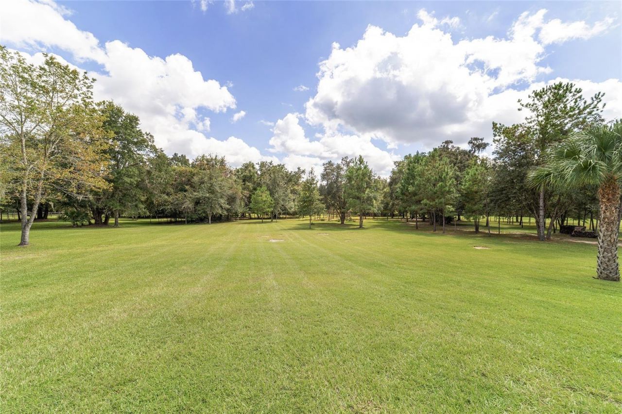 15600 NW 185th Street, Williston, FL 32696 Photo