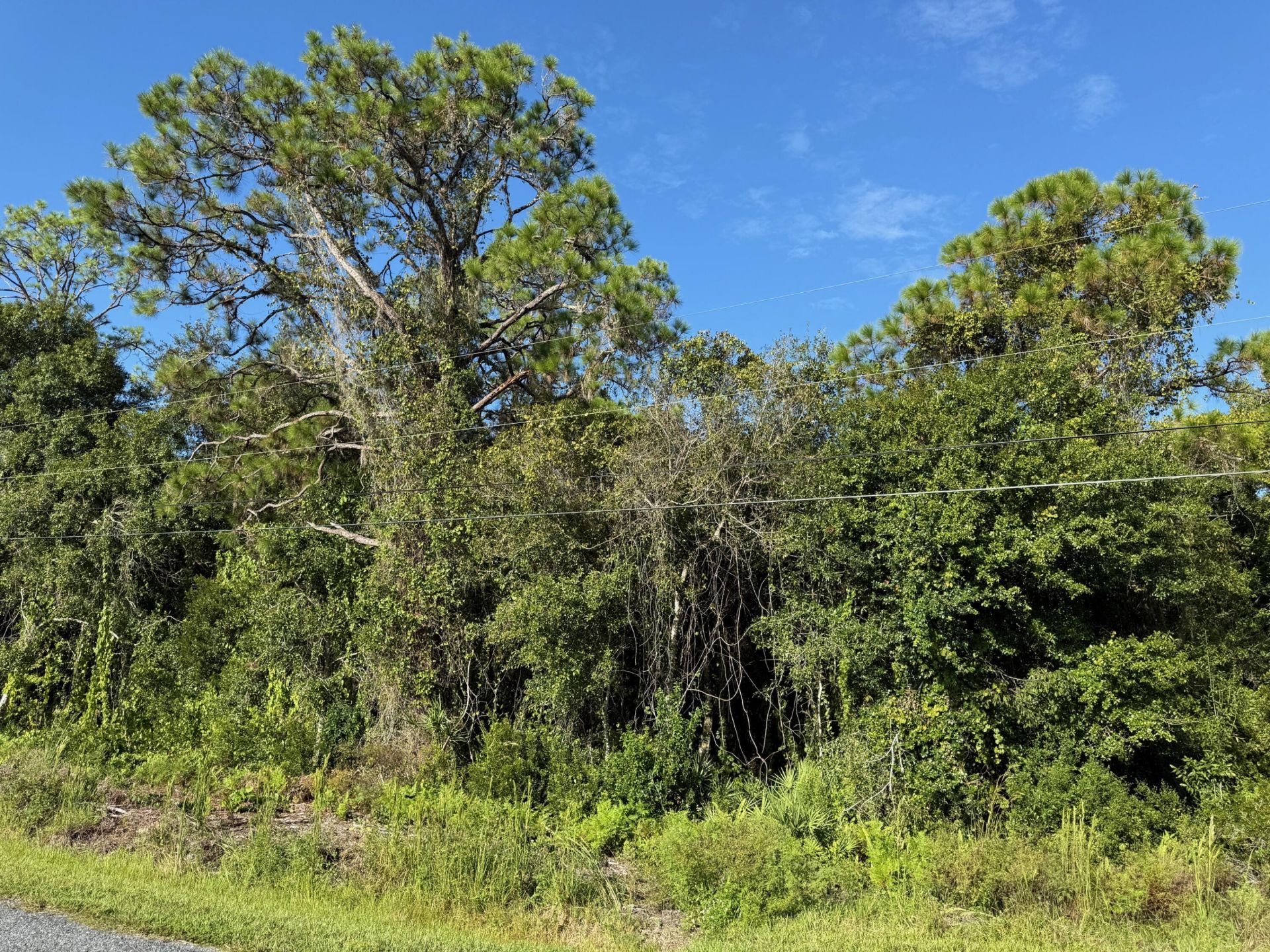 0 Magnolia Drive, Okeechobee, FL 34972 Photo