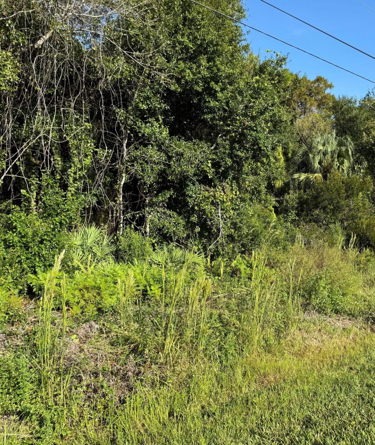 0 Magnolia Drive, Okeechobee, FL 34972 Photo