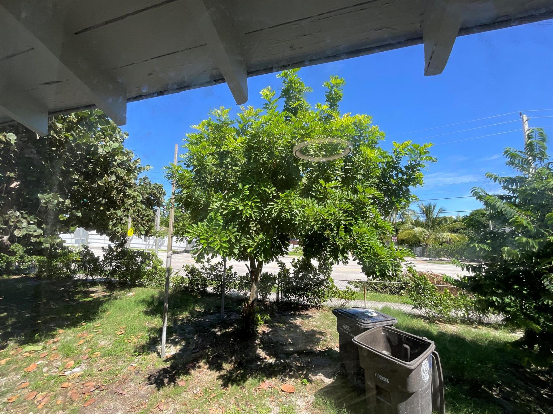 700 Tallapoosa Street, West Palm Beach, FL 33405 Photo