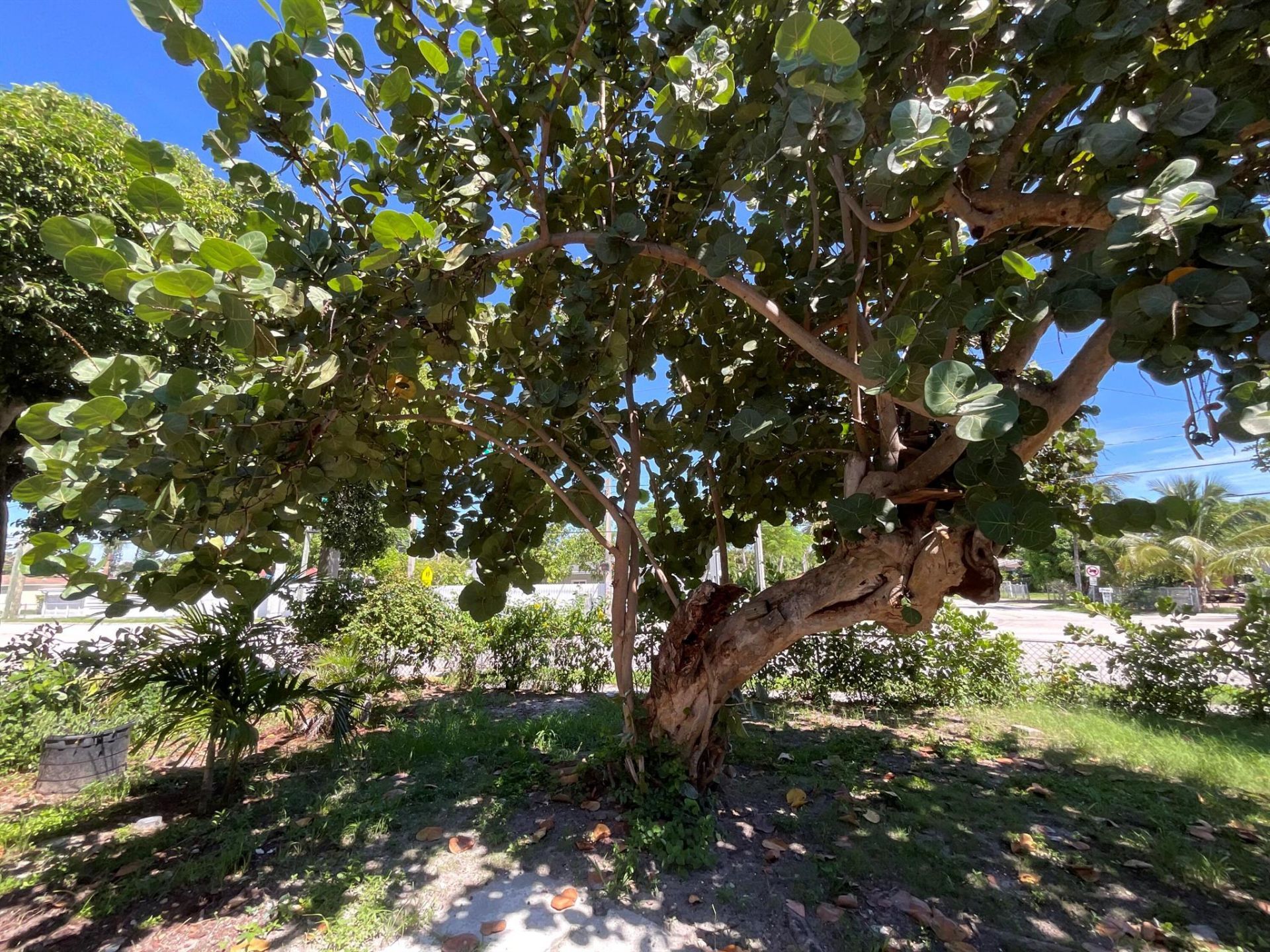 700 Tallapoosa Street, West Palm Beach, FL 33405 Photo