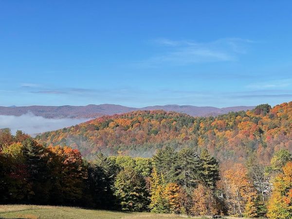 2769 Cloudland Road, Pomfret, VT 05067