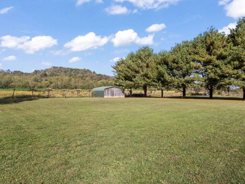 8285 Old River Road, Philo, OH 43771 Photo 39