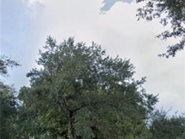 3200 King ST, FORT MYERS, FL 33916