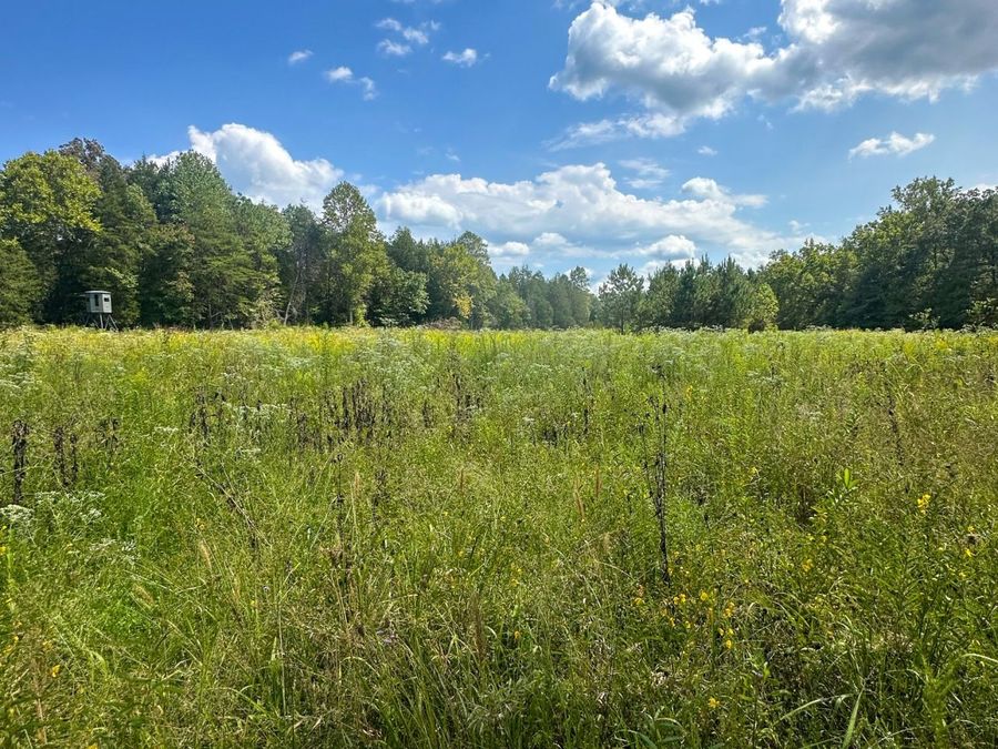 Property Image 61