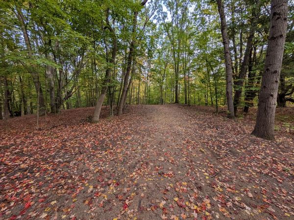 V/L E Kissing Oaks Trail, Unit 164, Custer, MI 49405