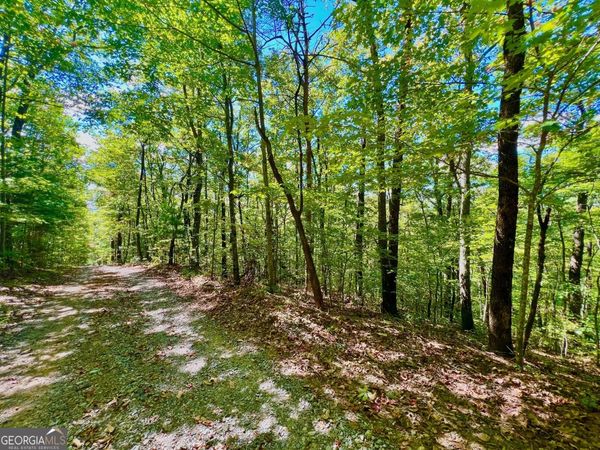 0 Double Knob Road, Ellijay, GA 30540