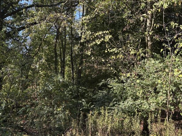 665 Shields Street, Kalamazoo, MI 49048