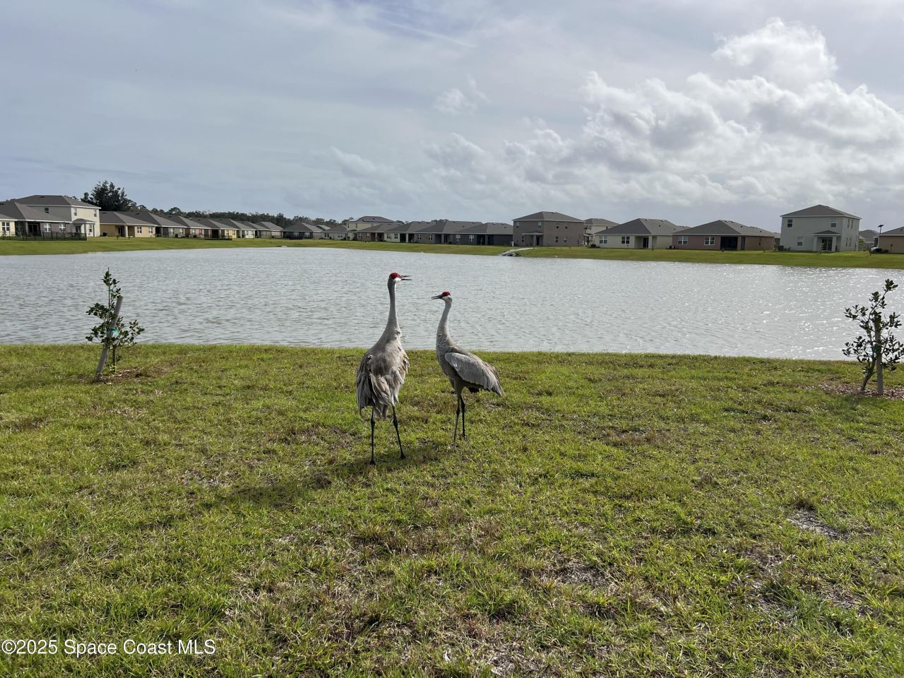 976 Trinity Street, Rockledge, FL 32955 Photo
