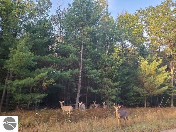 Buffalo Trail, Alger, MI 48610