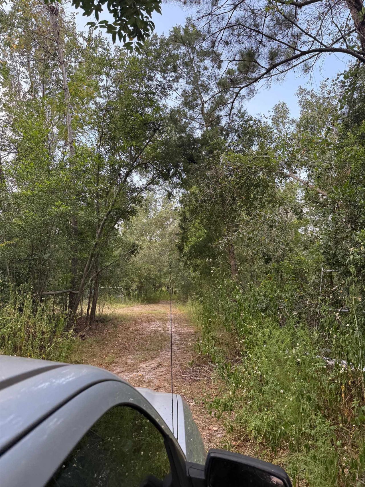 560 NE Fir Street, Pinetta, FL 32350 Photo