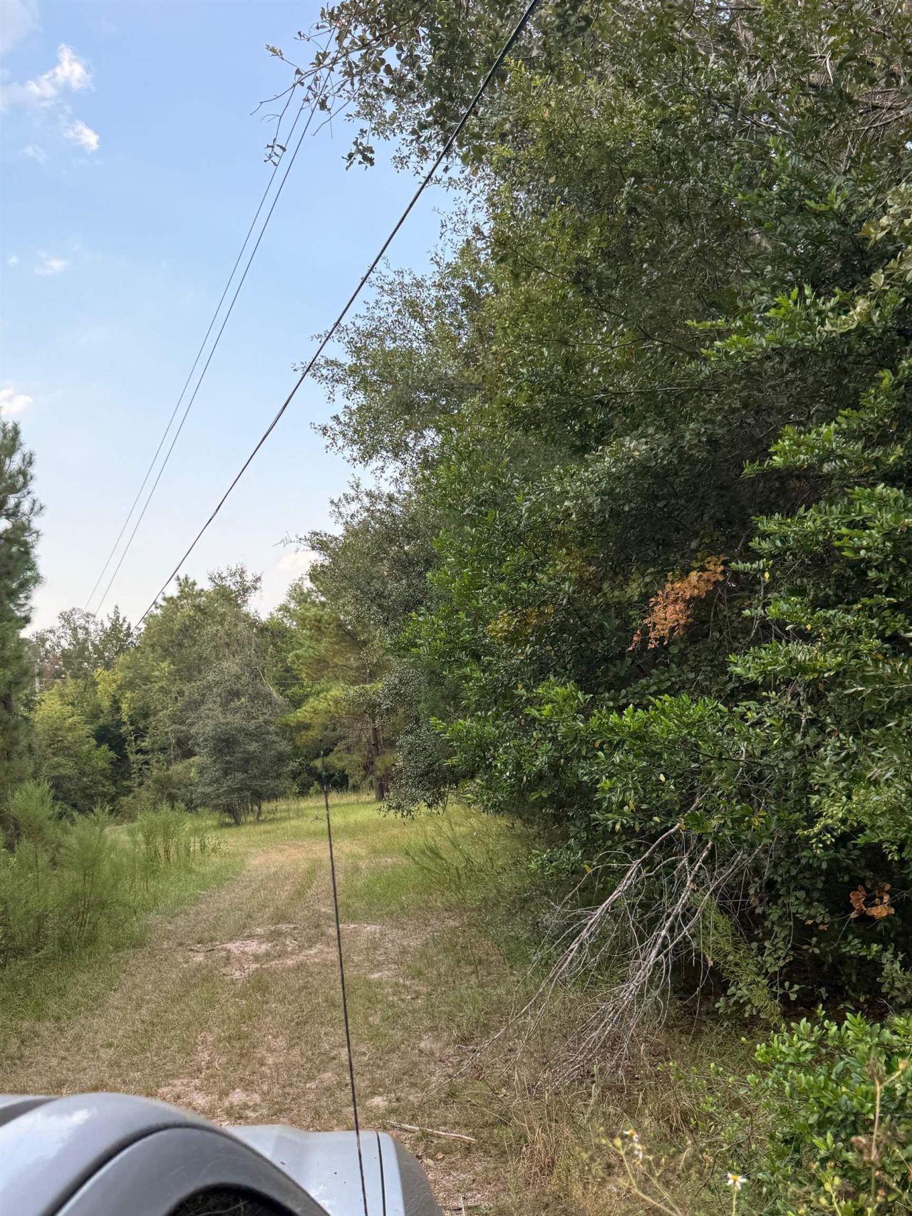 560 NE Fir Street, Pinetta, FL 32350 Photo