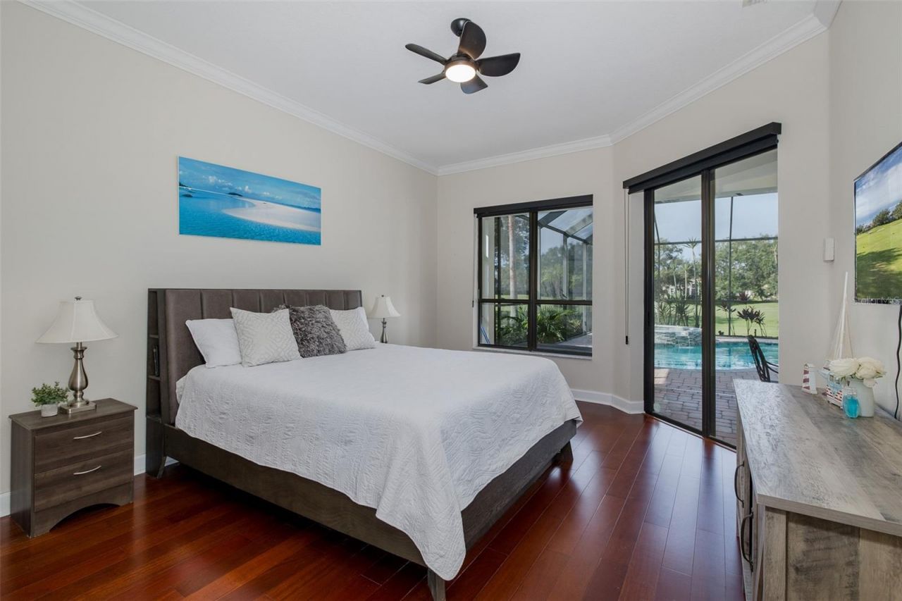 1429 El Pardo Drive, Trinity, FL 34655 Photo