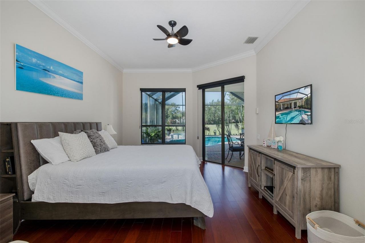 1429 El Pardo Drive, Trinity, FL 34655 Photo