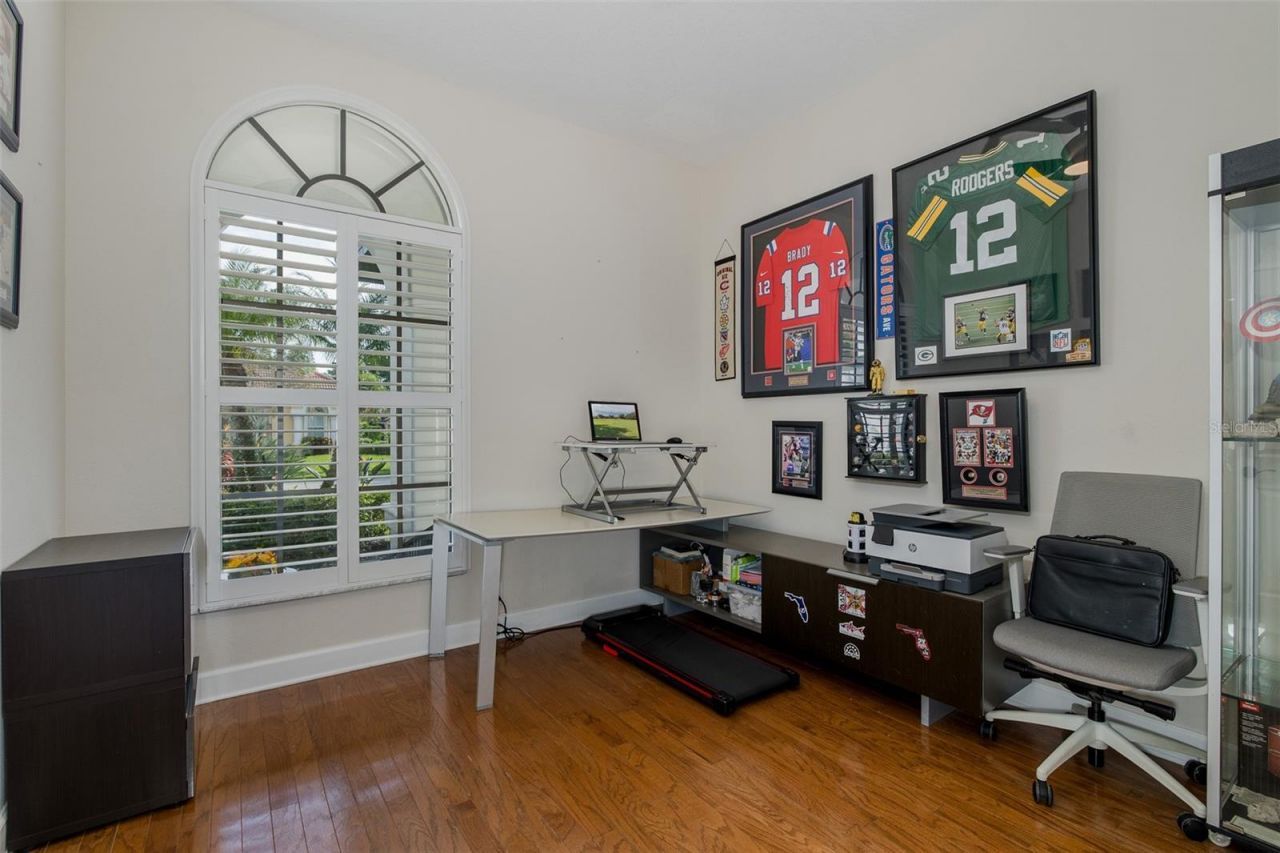 1429 El Pardo Drive, Trinity, FL 34655 Photo