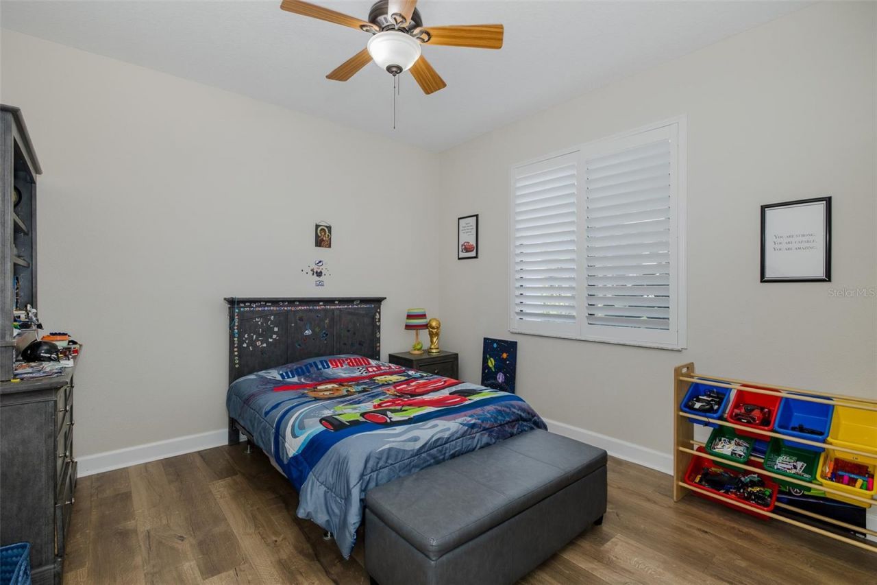 1429 El Pardo Drive, Trinity, FL 34655 Photo