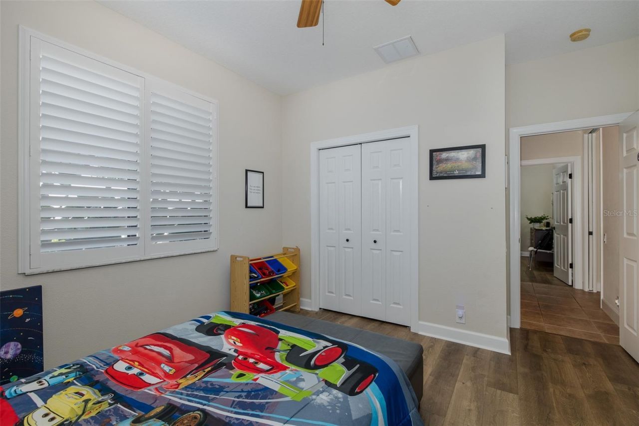 1429 El Pardo Drive, Trinity, FL 34655 Photo