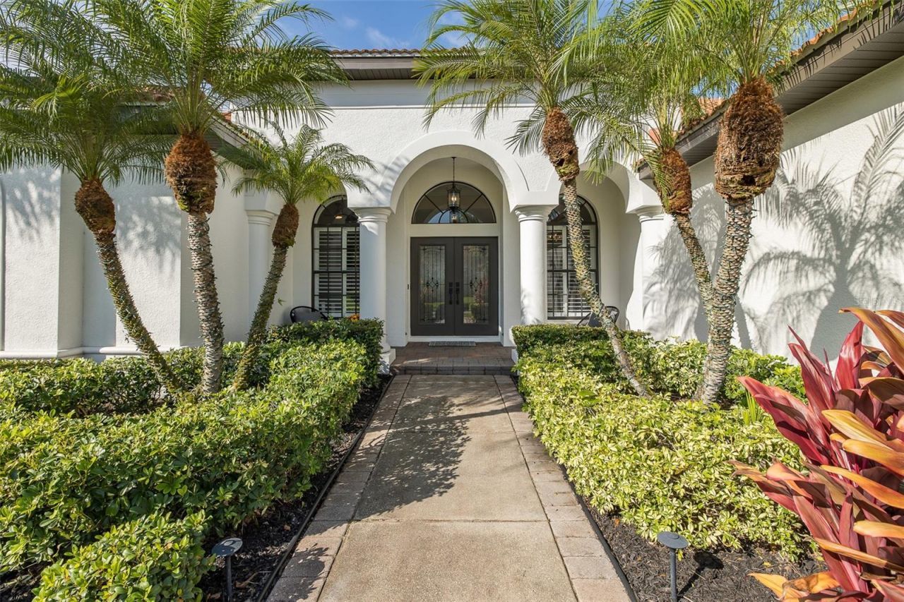 1429 El Pardo Drive, Trinity, FL 34655 Photo