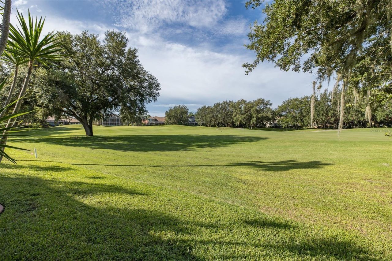 1429 El Pardo Drive, Trinity, FL 34655 Photo