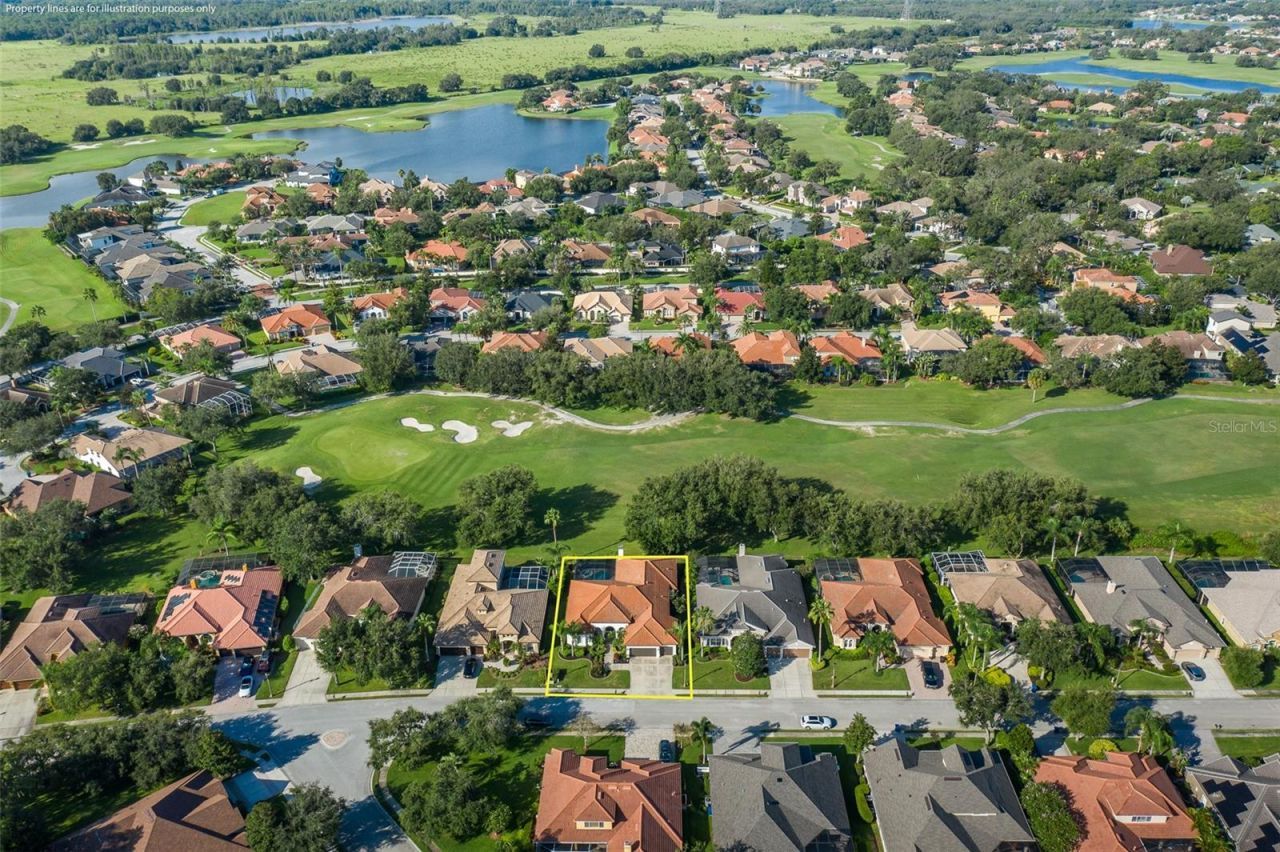 1429 El Pardo Drive, Trinity, FL 34655 Photo